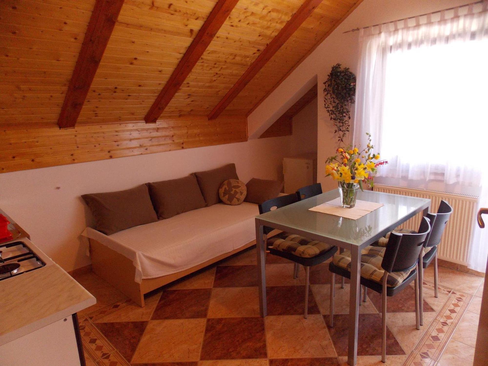 Apartments Smirnov ドレツニック・グラード 部屋 写真